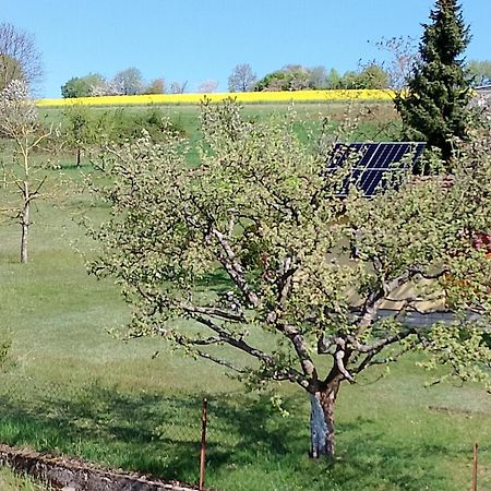 Pension Schmitt Waldfenster Exteriör bild