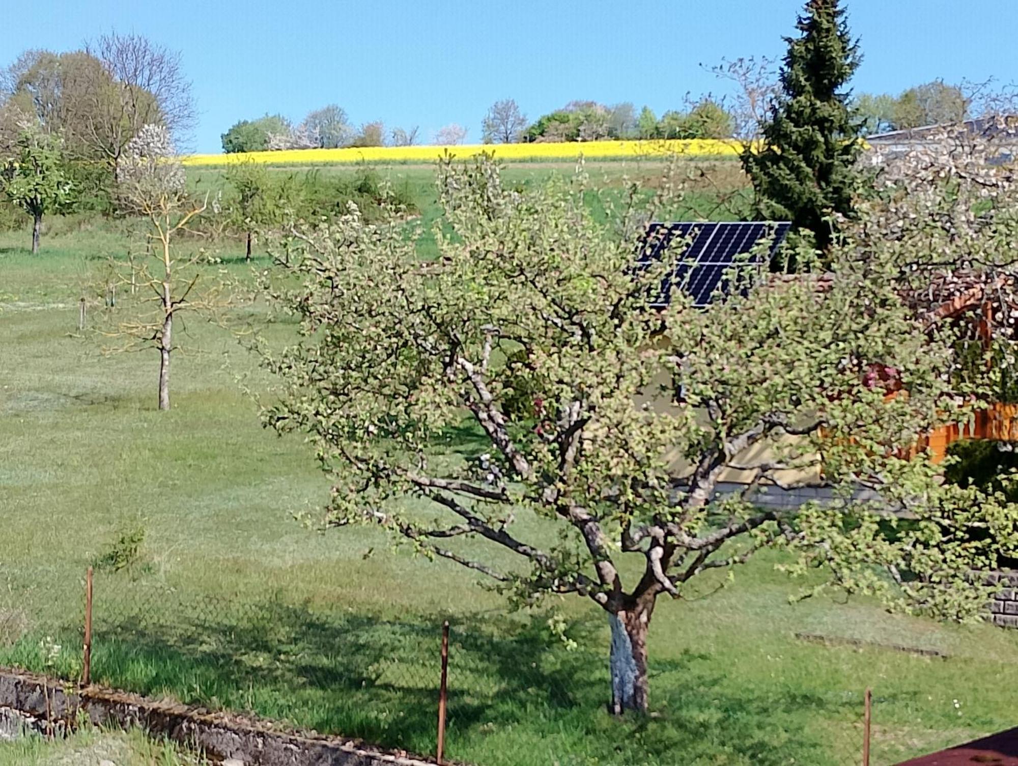 Pension Schmitt Waldfenster Exteriör bild